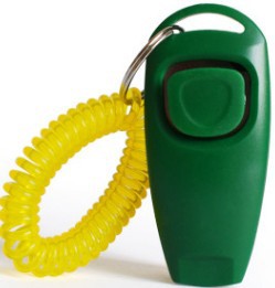 Rattle Whistle Dog Training Tool in 11 Colors