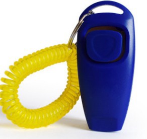 Rattle Whistle Dog Training Tool in 11 Colors