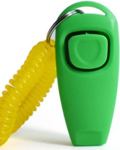 Rattle Whistle Dog Training Tool in 11 Colors