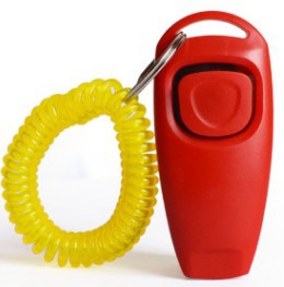 Rattle Whistle Dog Training Tool in 11 Colors