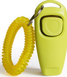 Rattle Whistle Dog Training Tool in 11 Colors