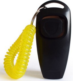 Rattle Whistle Dog Training Tool in 11 Colors