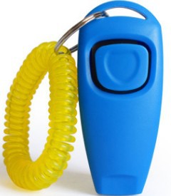 Rattle Whistle Dog Training Tool in 11 Colors
