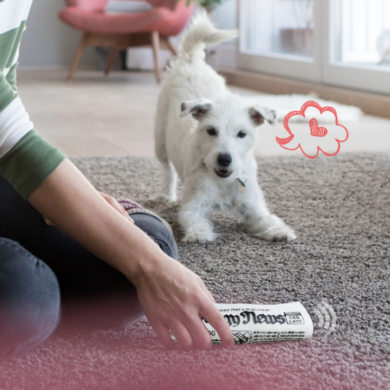 Squeaky Newspaper Chew Toy in Black & White