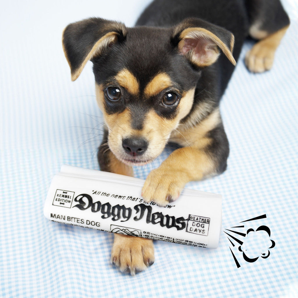 Squeaky Newspaper Chew Toy in Black & White
