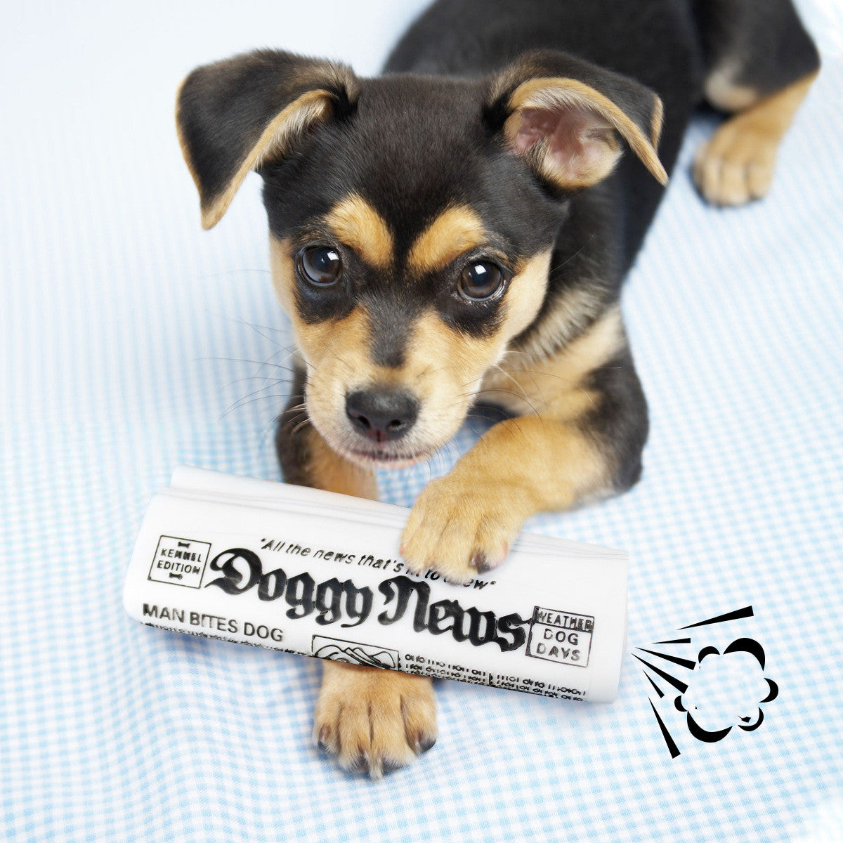 Squeaky Newspaper Chew Toy in Black & White
