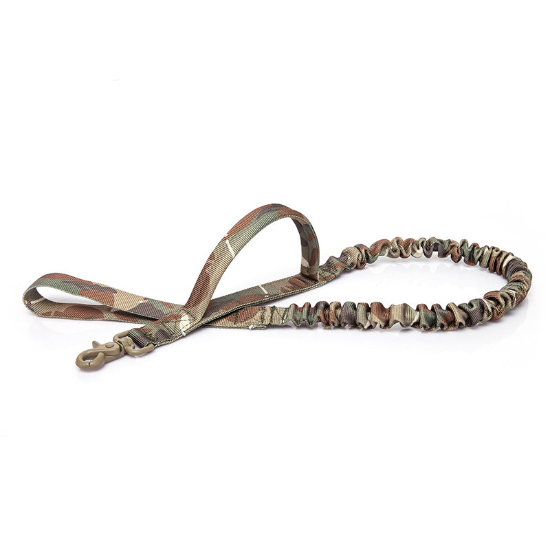 Training Dog Leash for Obedience and Control