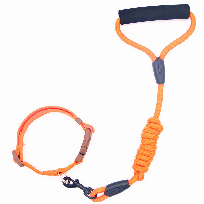 Colorful Dog Leash and Collar Set