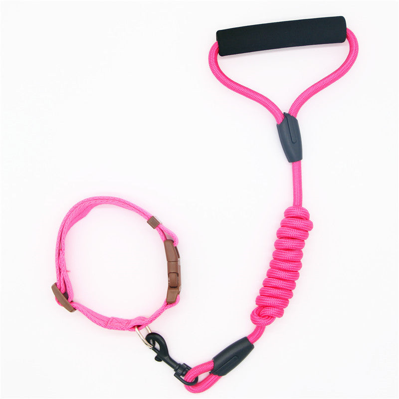 Colorful Dog Leash and Collar Set