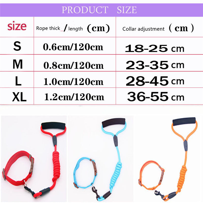 Colorful Dog Leash and Collar Set