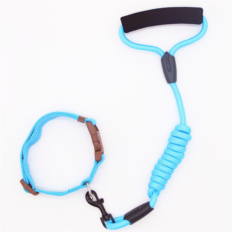 Colorful Dog Leash and Collar Set