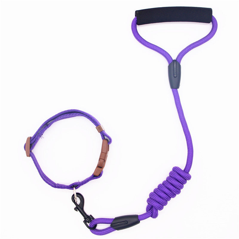 Colorful Dog Leash and Collar Set
