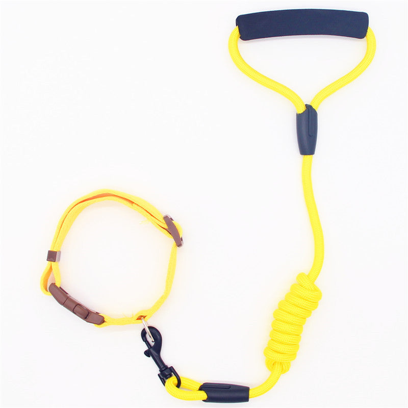 Colorful Dog Leash and Collar Set