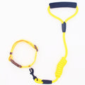Colorful Dog Leash and Collar Set