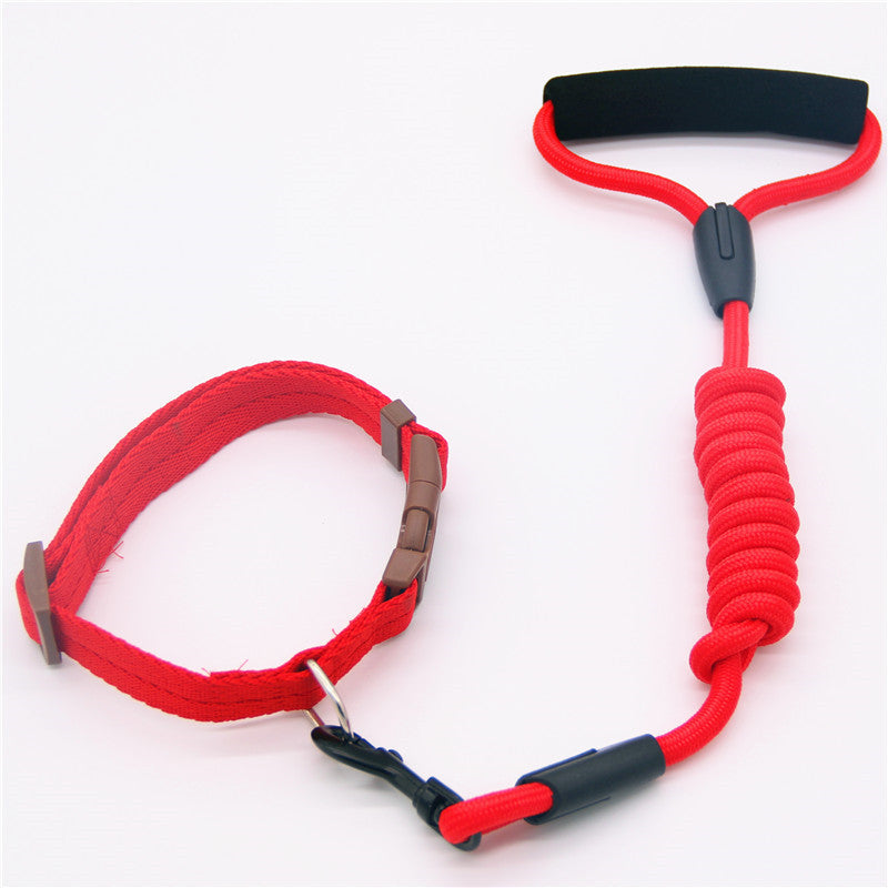Colorful Dog Leash and Collar Set