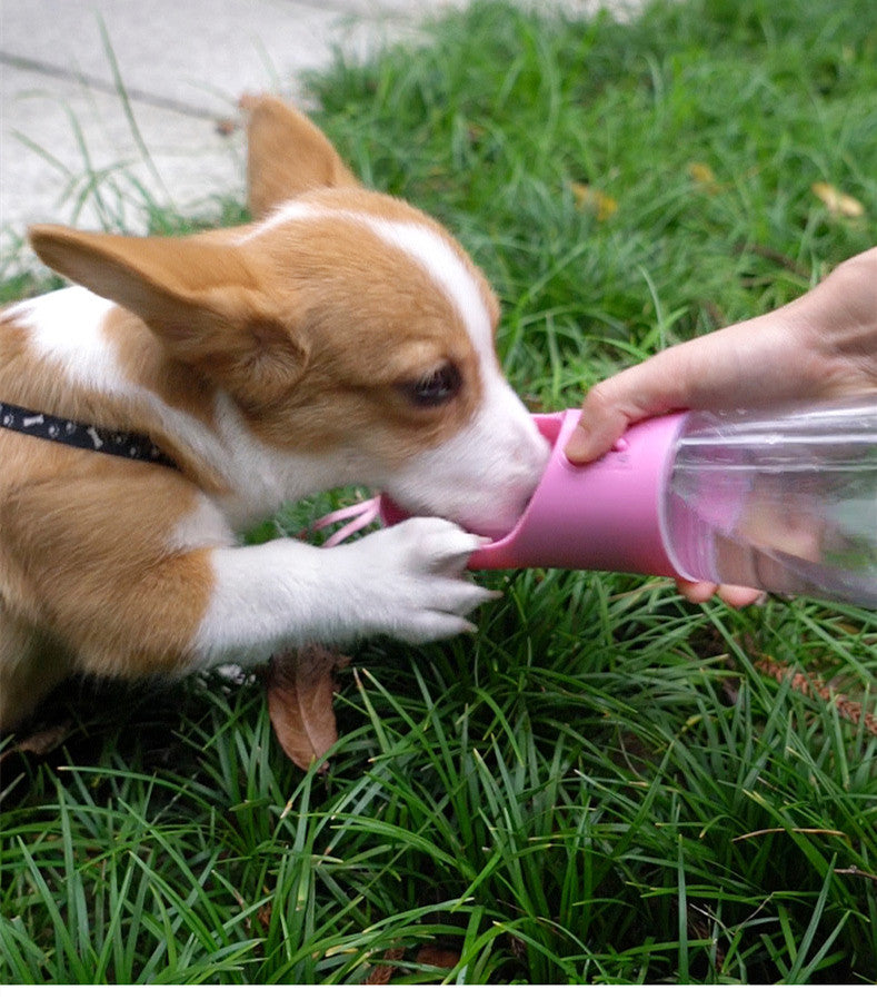 Portable Water Bottle Bowl for Dogs in Blue and Pink