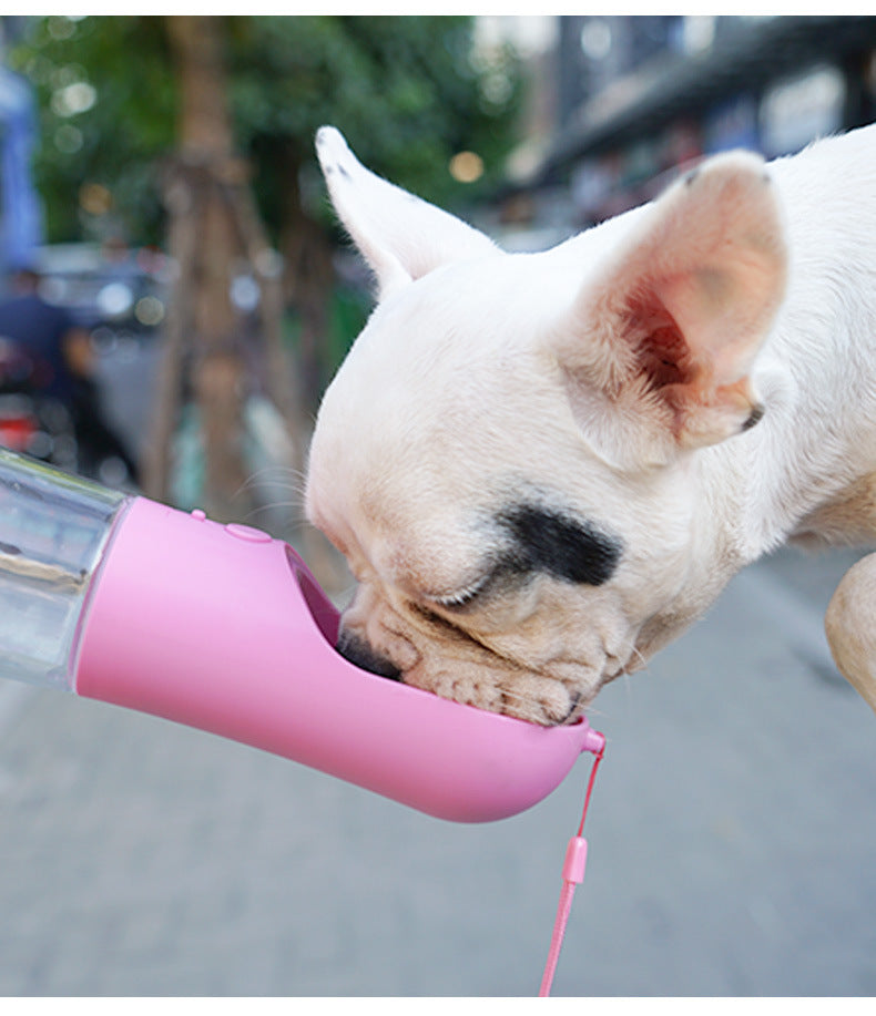 Portable Water Bottle Bowl for Dogs in Blue and Pink