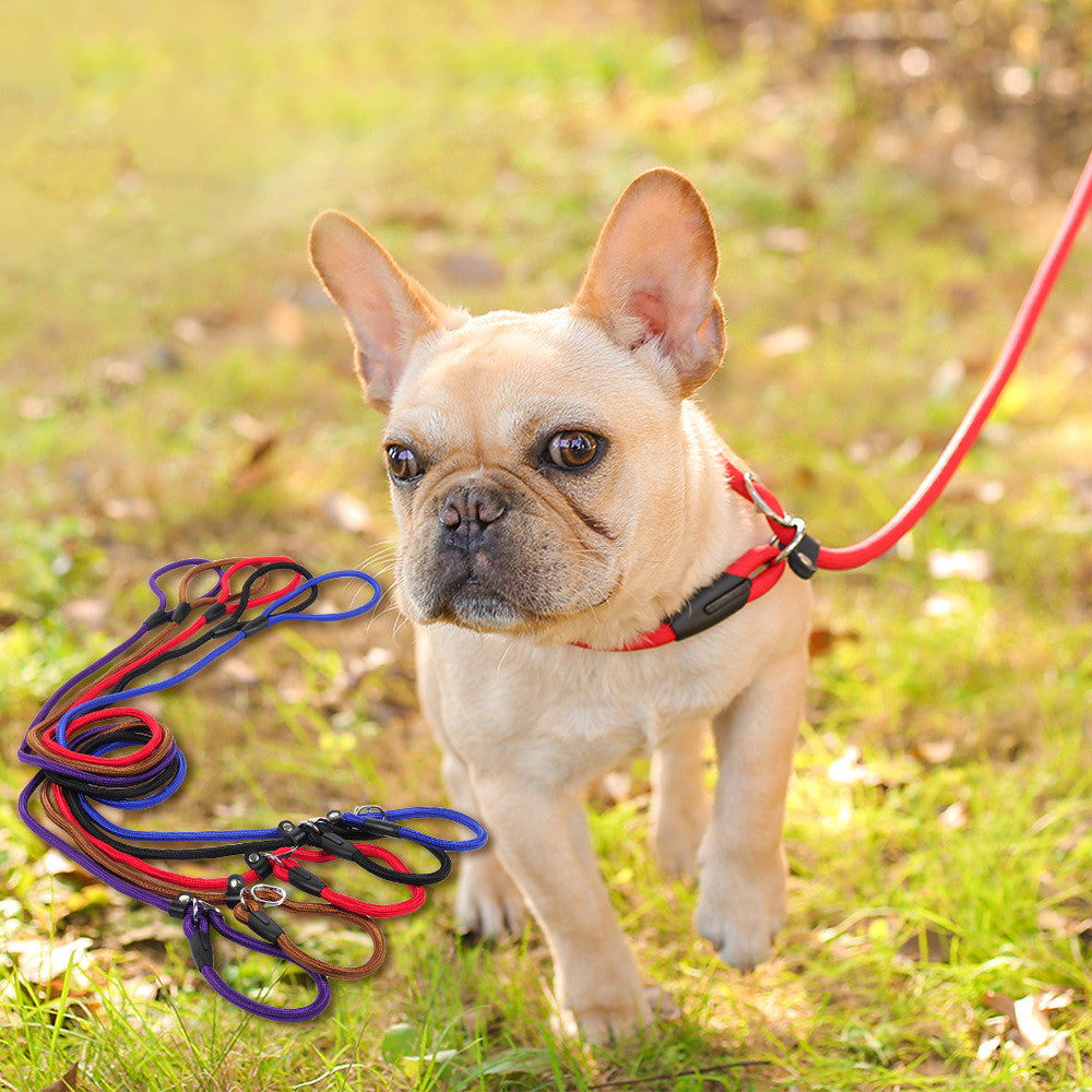 Dog Leash in Multiple Colors and Widths