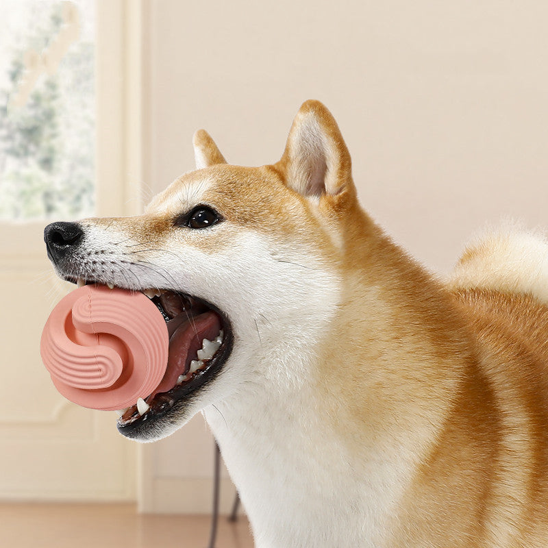 Bite Resistant Rubber Chew Toy for Dogs