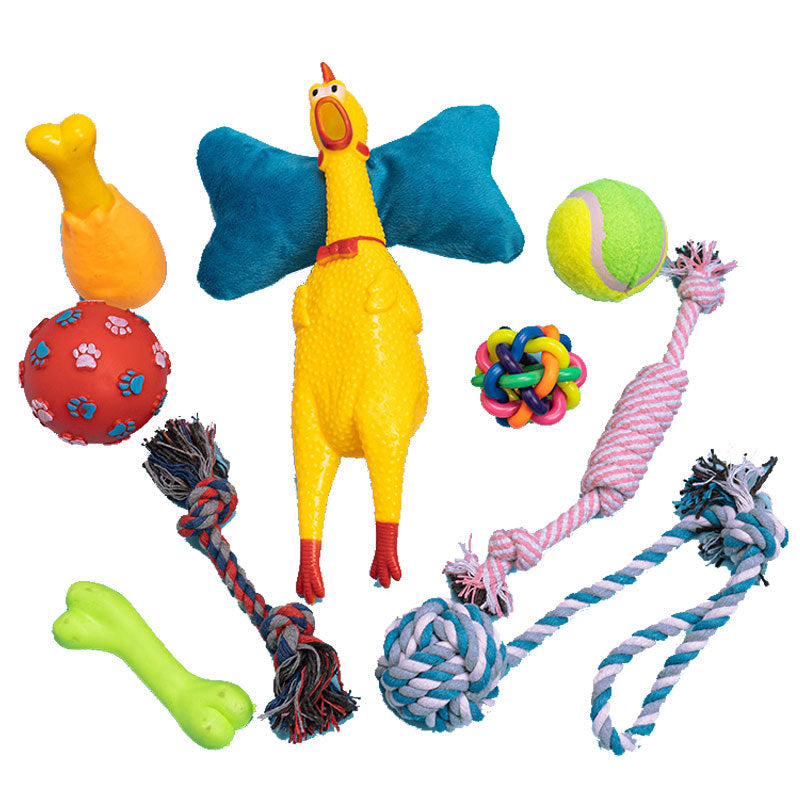 Bite-Resistant Toy Set for Dogs, 10-Piece