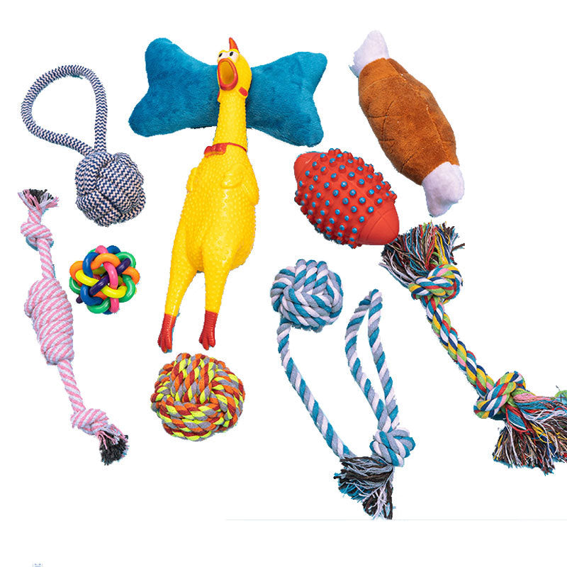 Bite-Resistant Toy Set for Dogs, 10-Piece