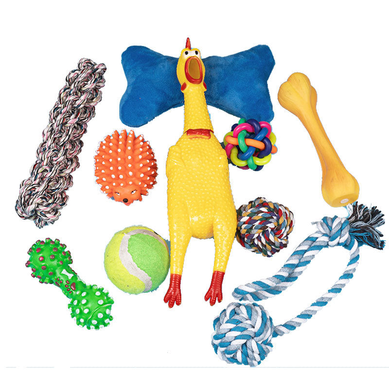 Bite-Resistant Toy Set for Dogs, 10-Piece