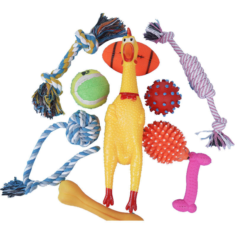 Bite-Resistant Toy Set for Dogs, 10-Piece