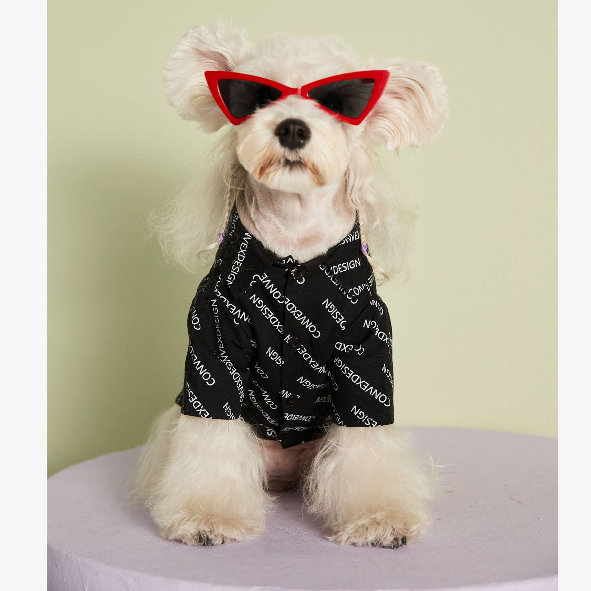 Dog Costume Outfit for Small Dogs