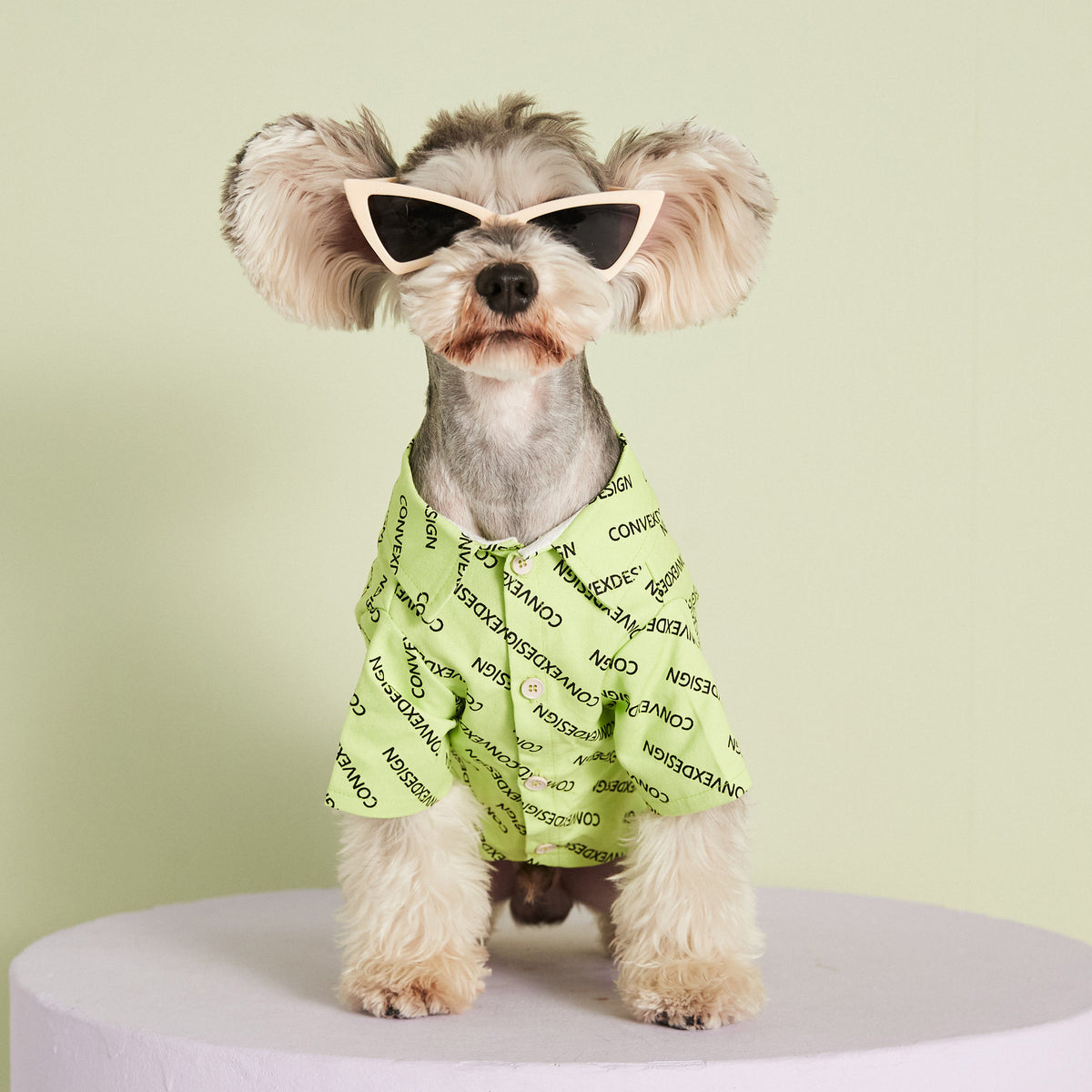 Dog Costume Outfit for Small Dogs