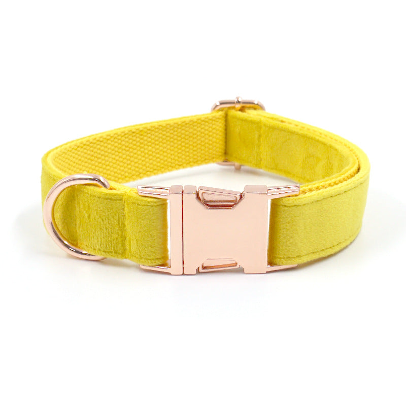 Rose Gold Buckle Velvet Dog Collar and Bow Tie