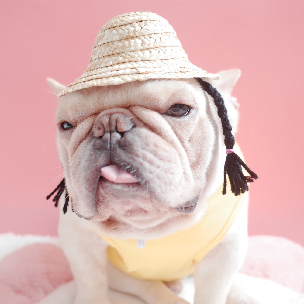 Dog Straw Hat with French Braid Design
