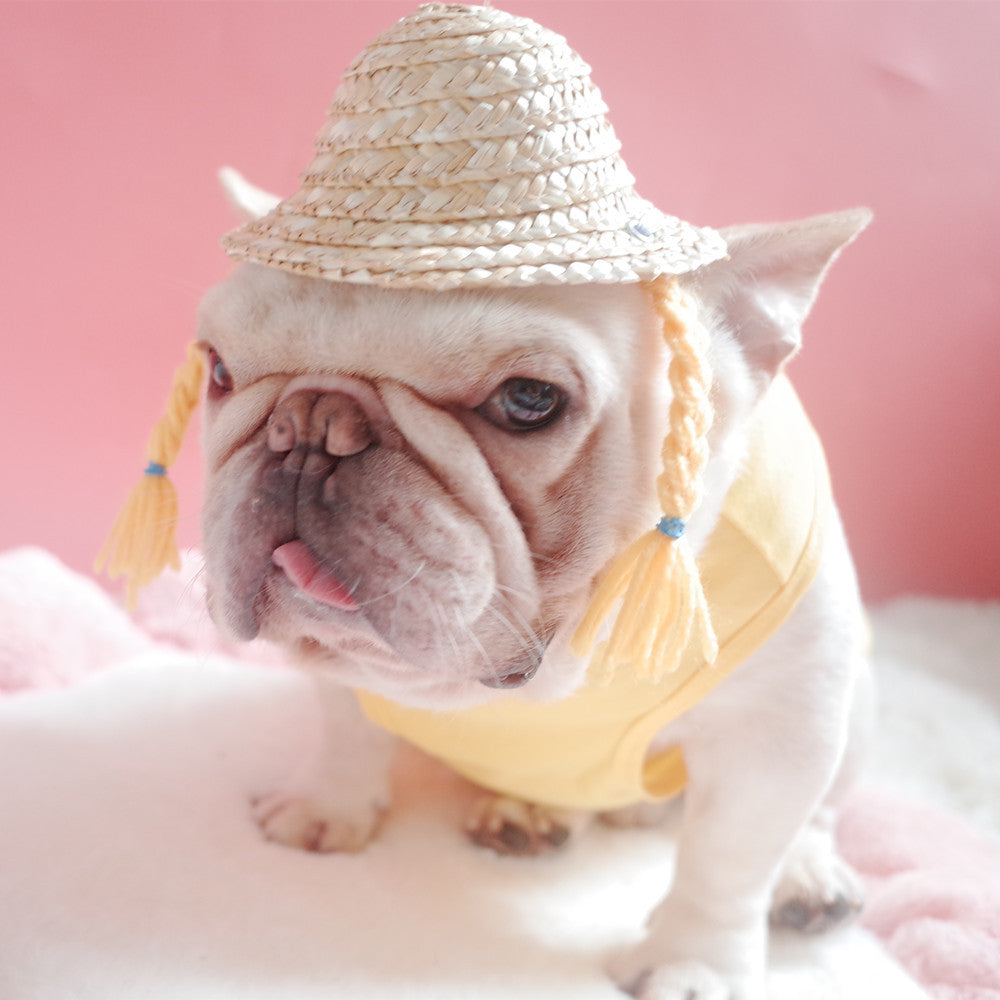 Dog Straw Hat with French Braid Design
