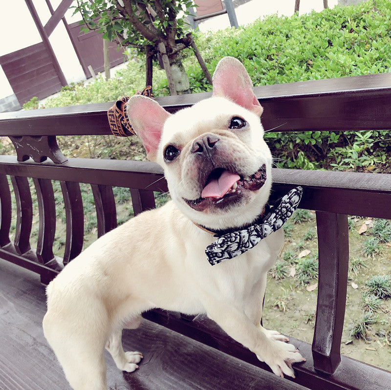 Bow Tie Collar for Dogs