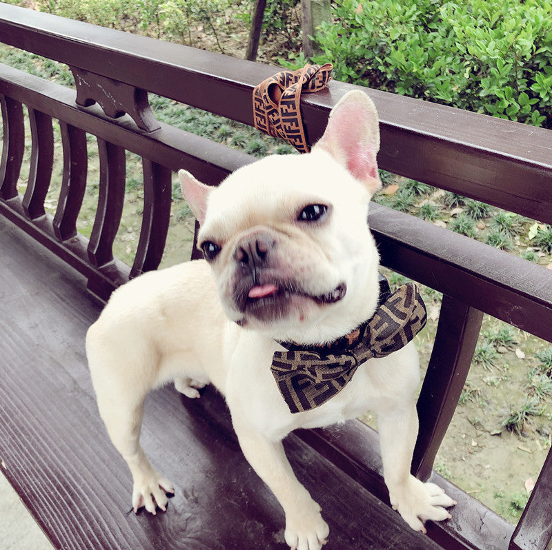 Bow Tie Collar for Dogs