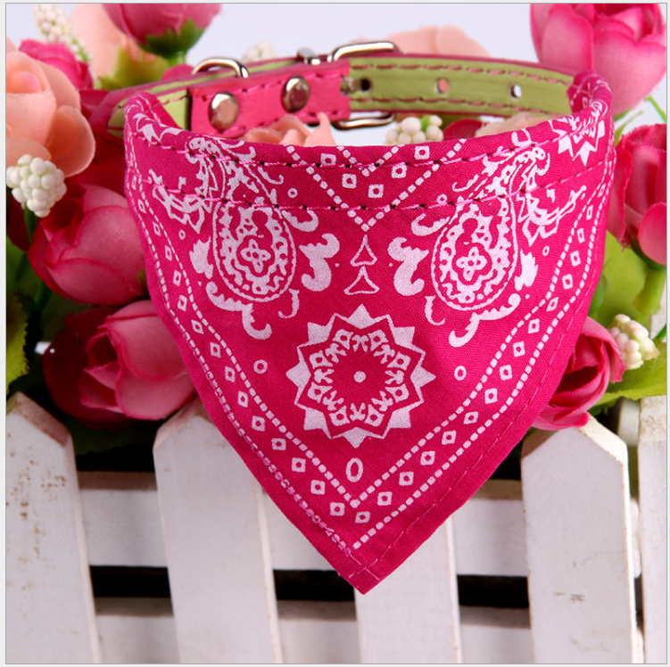 Triangle Dog Scarf in Rose and Blue
