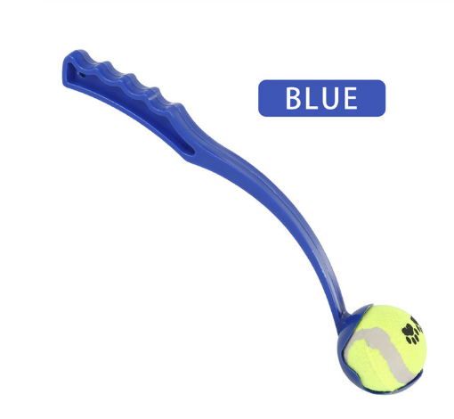 Dog Throwing Ball in Green, Blue, and Red