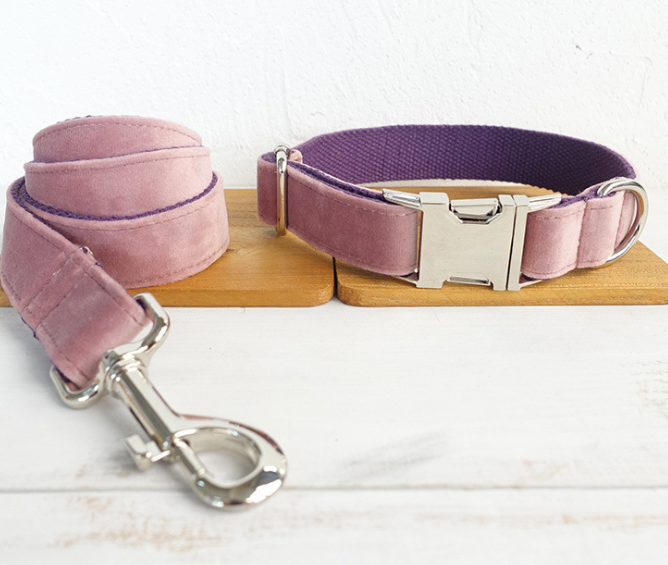 Dog Leash and Collar Set for Small to Large Dogs