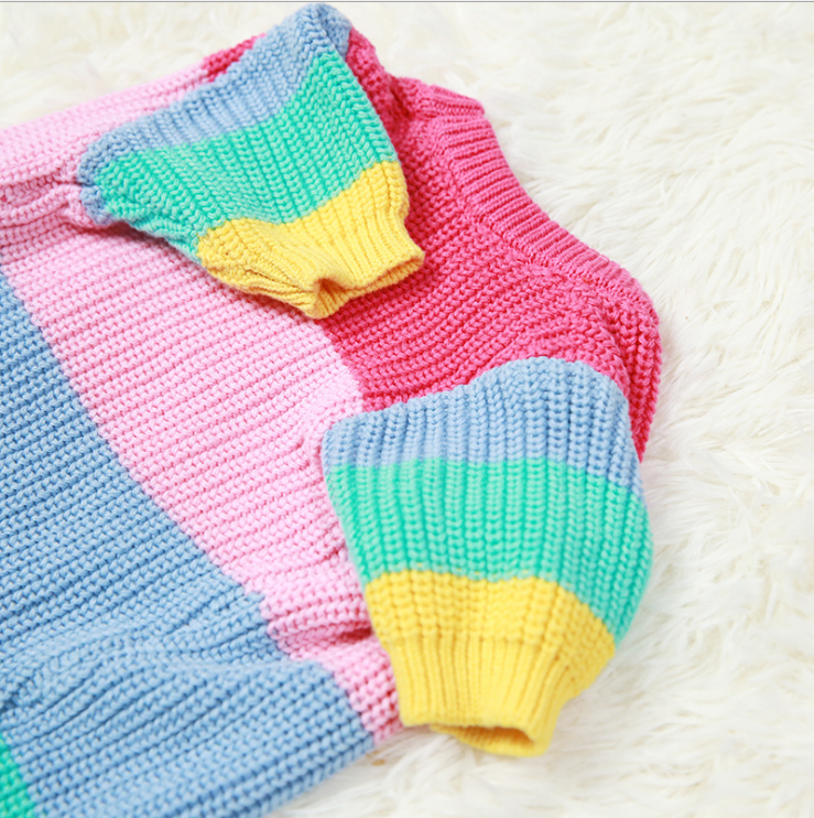 Rainbow Knit Dog Sweater