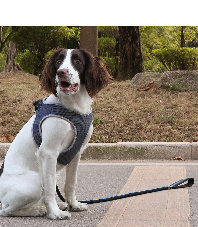 Dog Harness Vest in Blue, Black, and Green