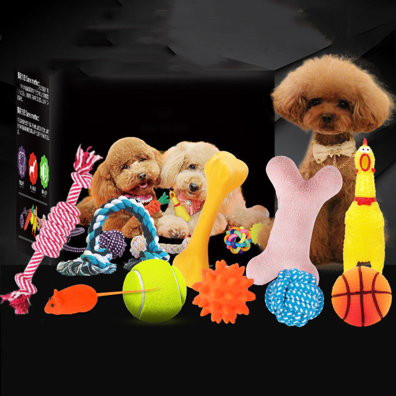 Squeaky Plush Dog Toy Set - Set 2