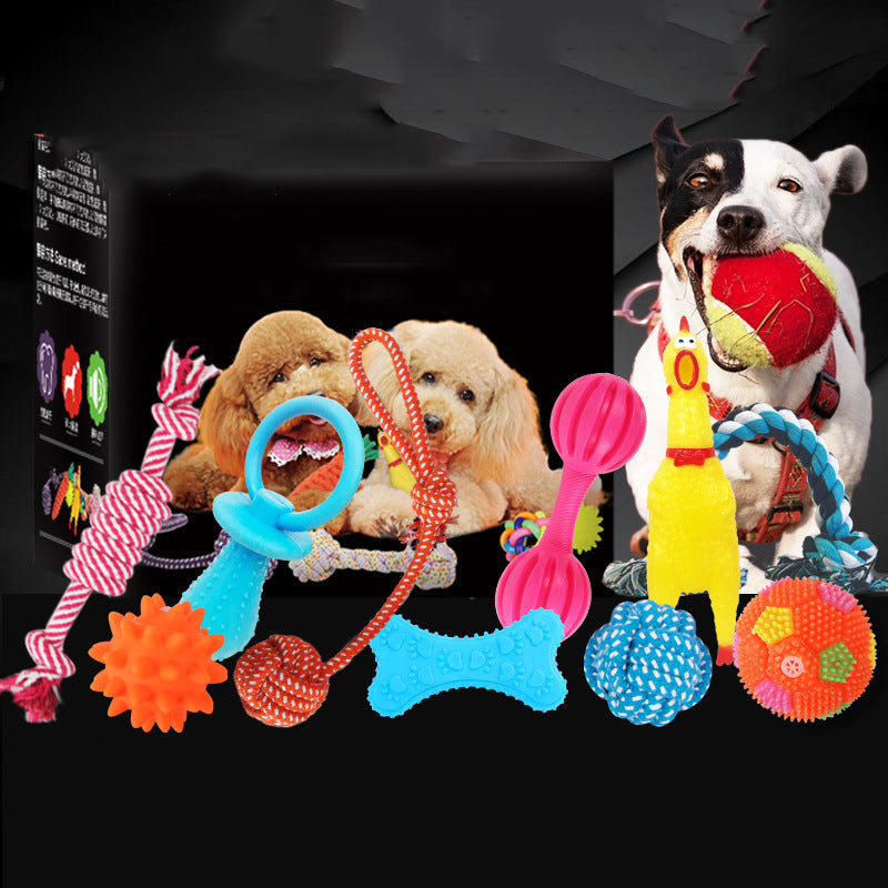 Squeaky Plush Dog Toy Set - Set 4