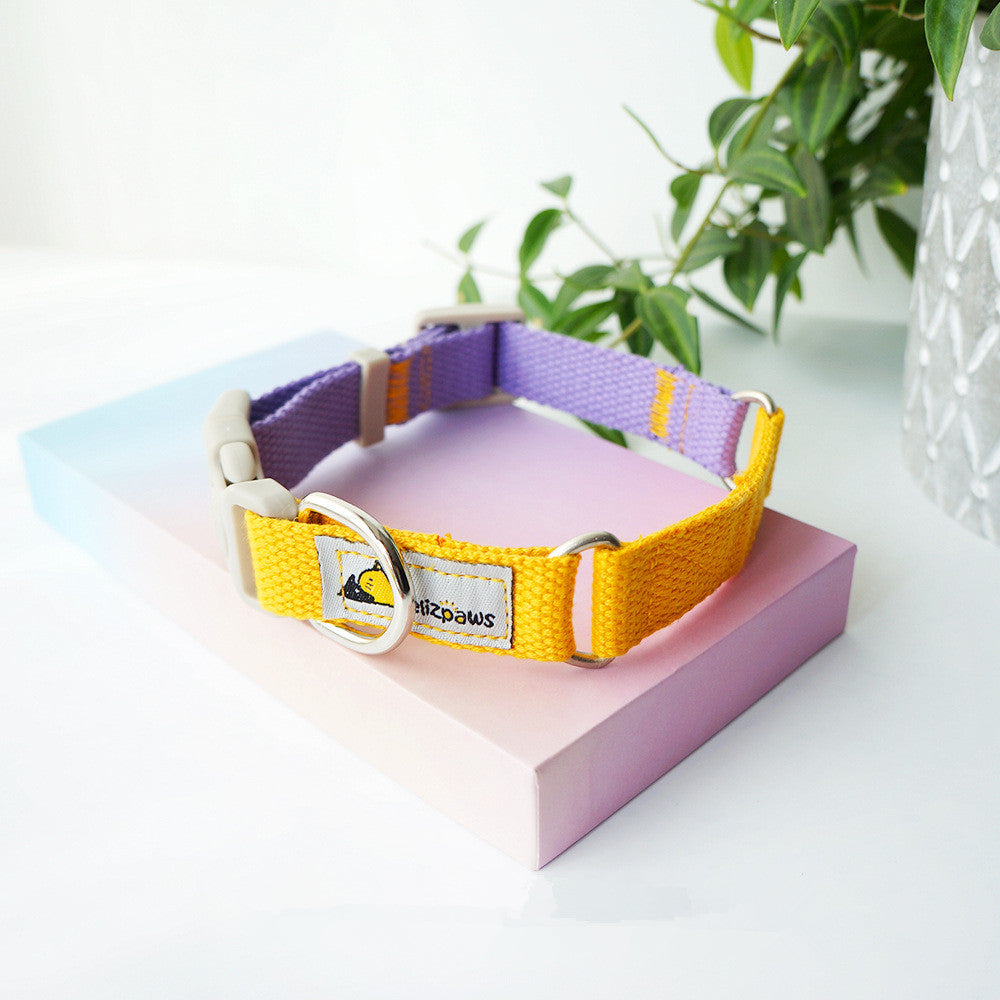 Hit Color Dog Collar - Bright Two-Tone Collar for Dogs