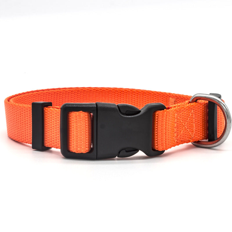 Adjustable Nylon Dog Collar in 9 Colours