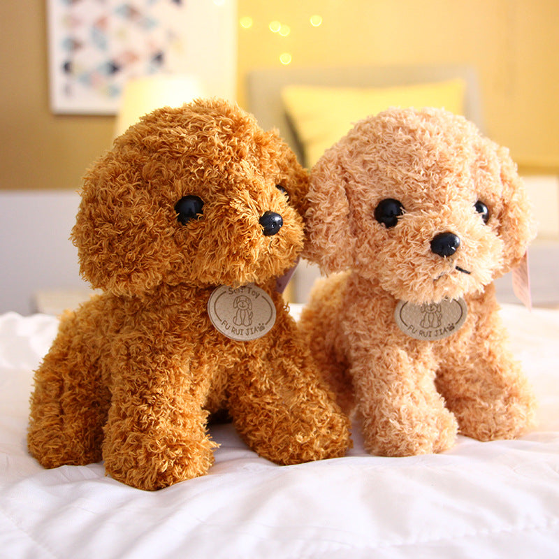 Soft Teddy Plush Toy for Dogs in Multiple Colors