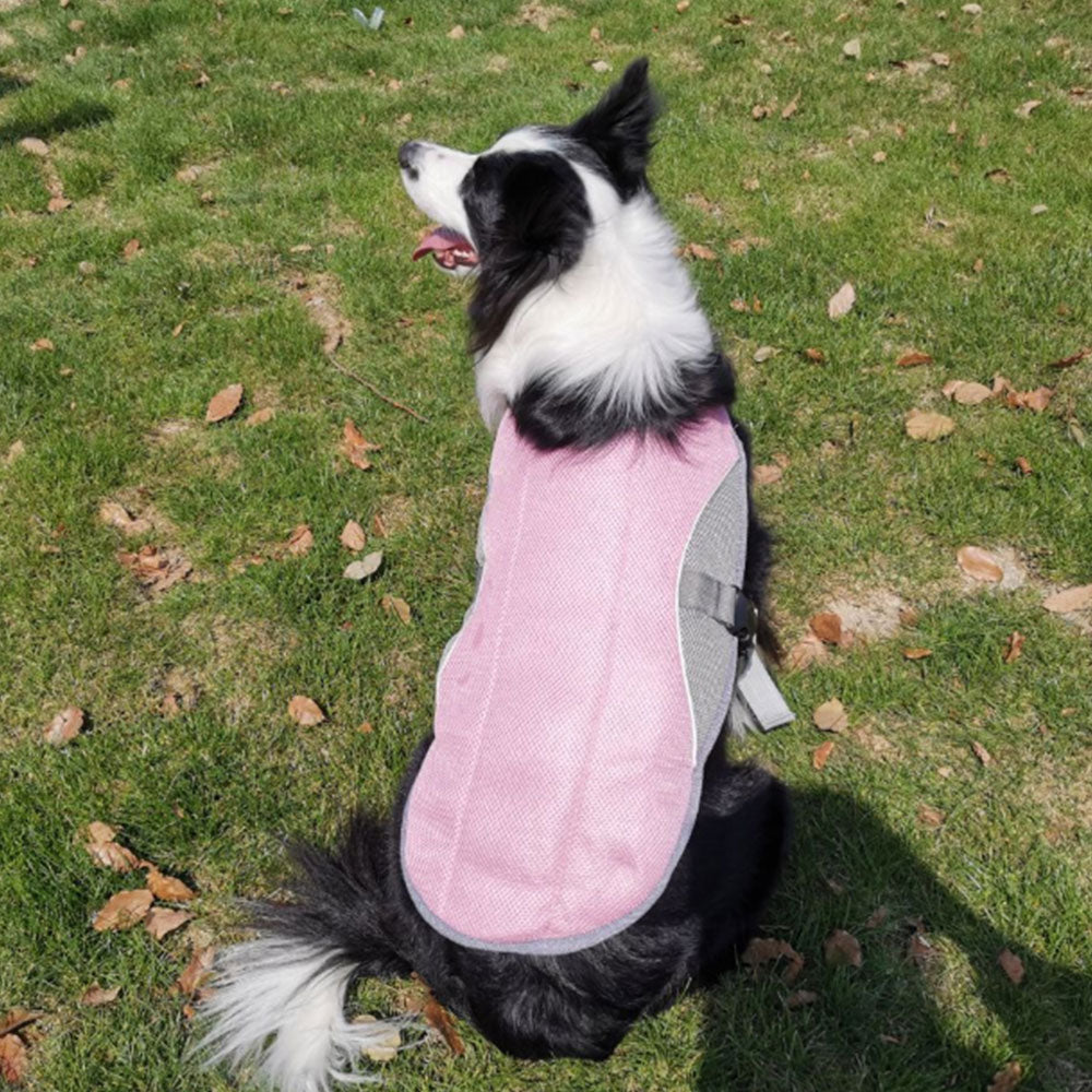 Lightweight Cooling Vest for Dogs