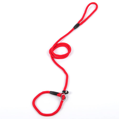Dog Leash in Multiple Colors and Widths