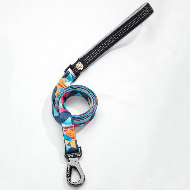 Dog Leash for All Sizes