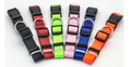 Adjustable Nylon Dog Collar in 9 Colours