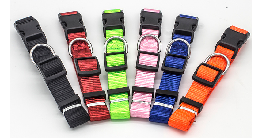 Adjustable Nylon Dog Collar in 9 Colours