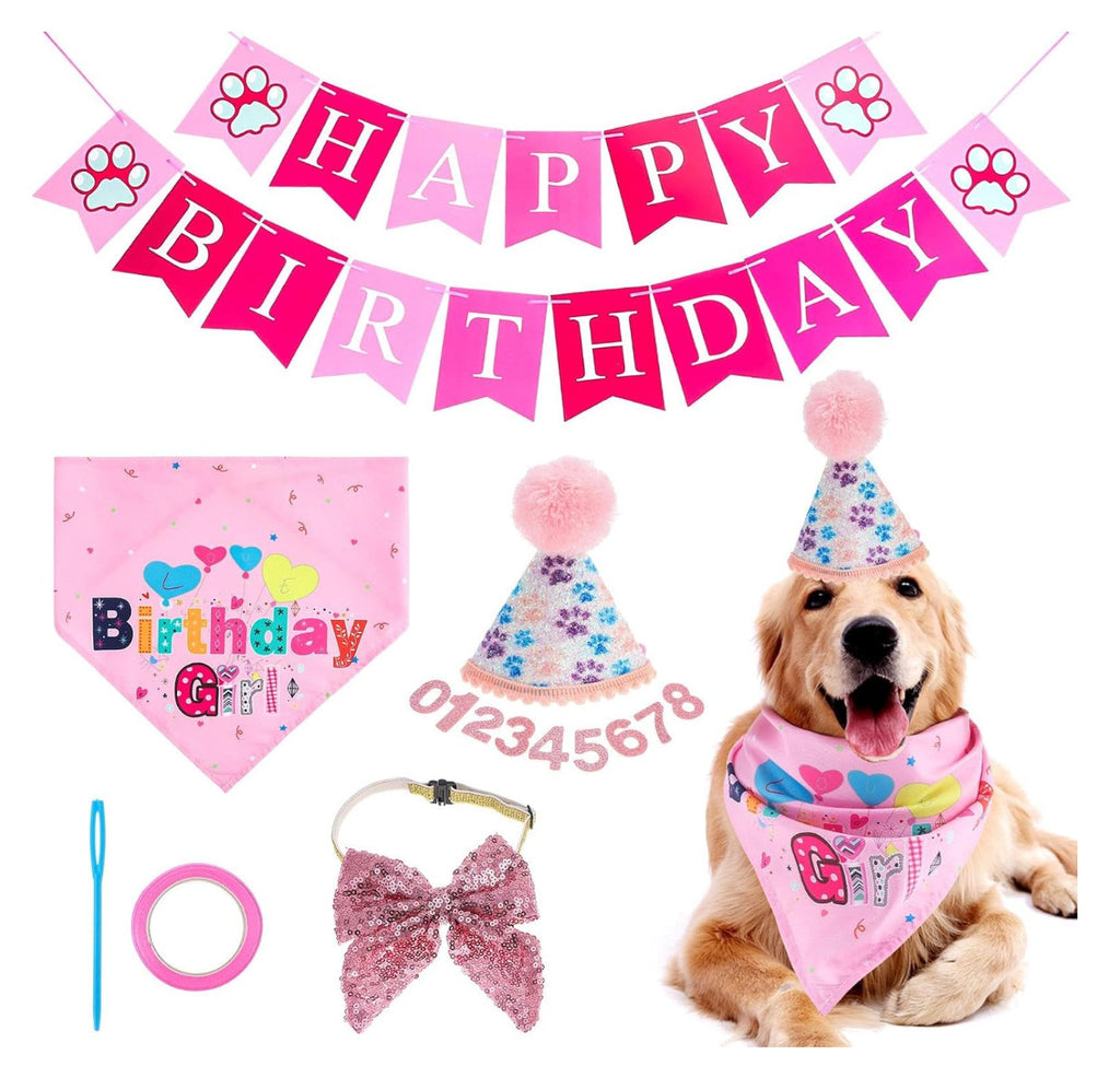 Dog Birthday Party Hat For Dogs